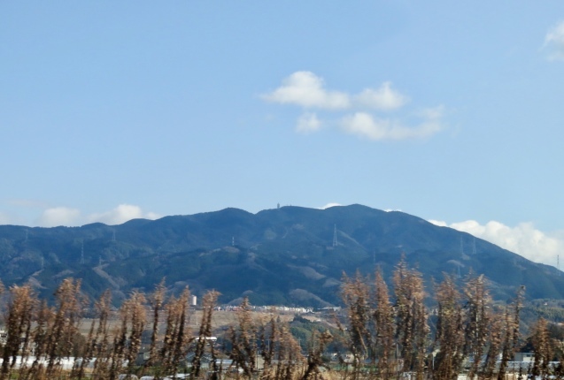 b0344816_20080856.jpeg