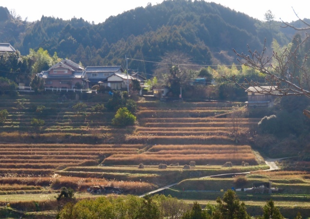 b0344816_20101015.jpeg