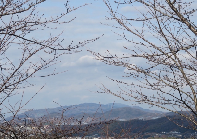 b0344816_20102464.jpeg