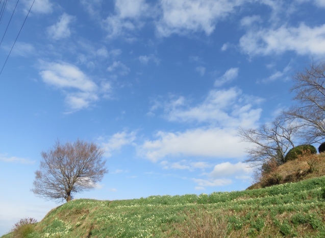 b0344816_20111782.jpeg