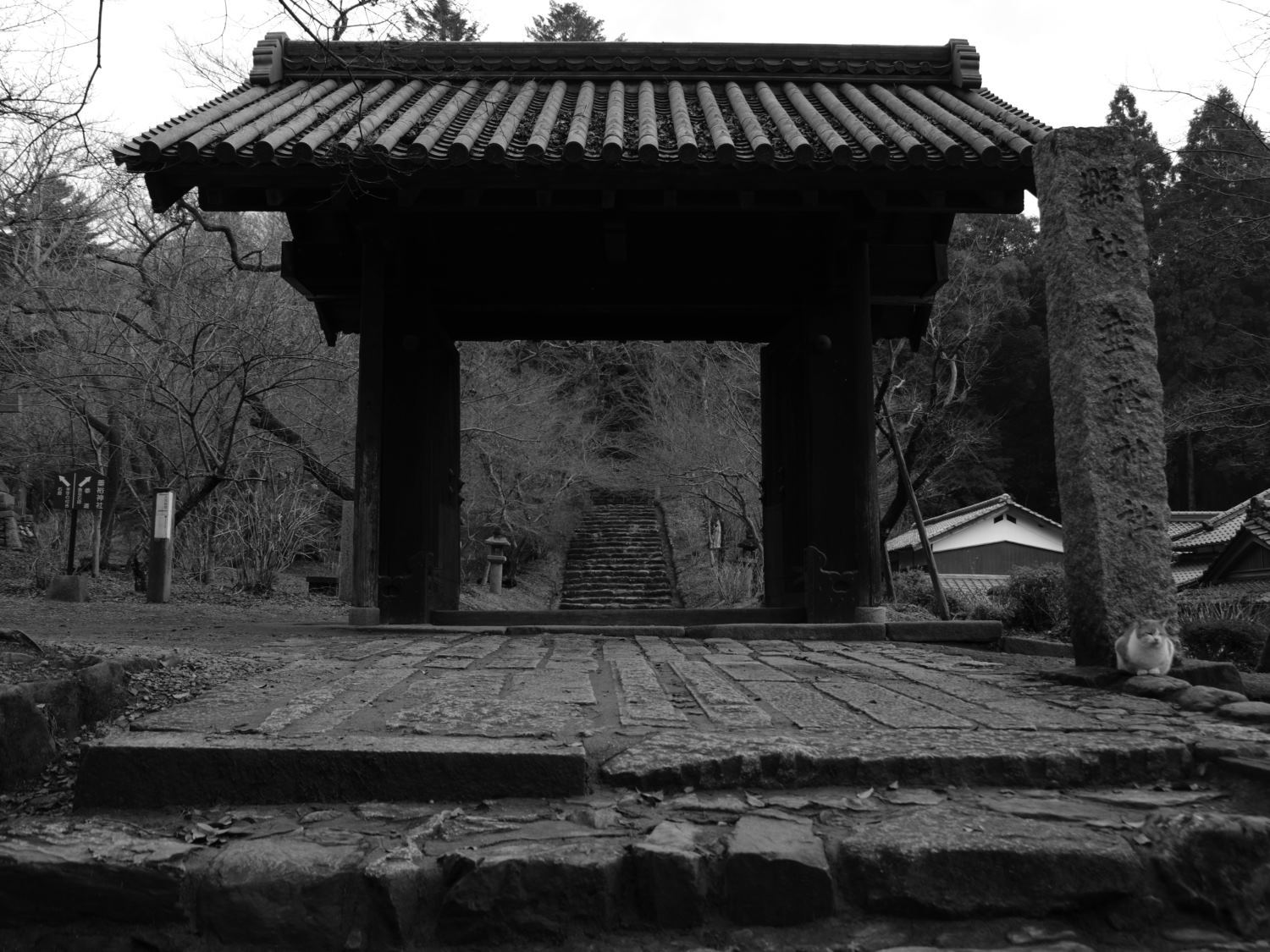 d0355116_19512014.jpg