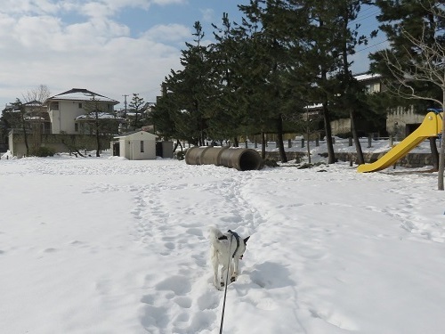 c0084117_18455973.jpg
