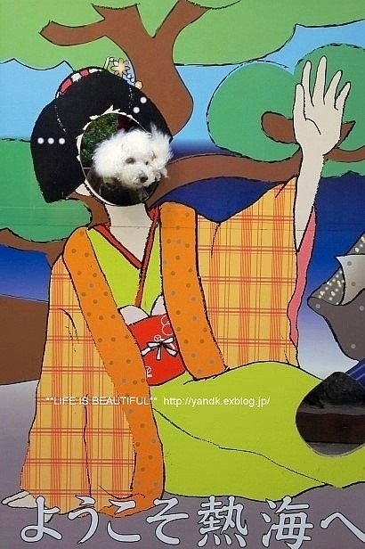 はんなりと②_d0083623_14151818.jpg