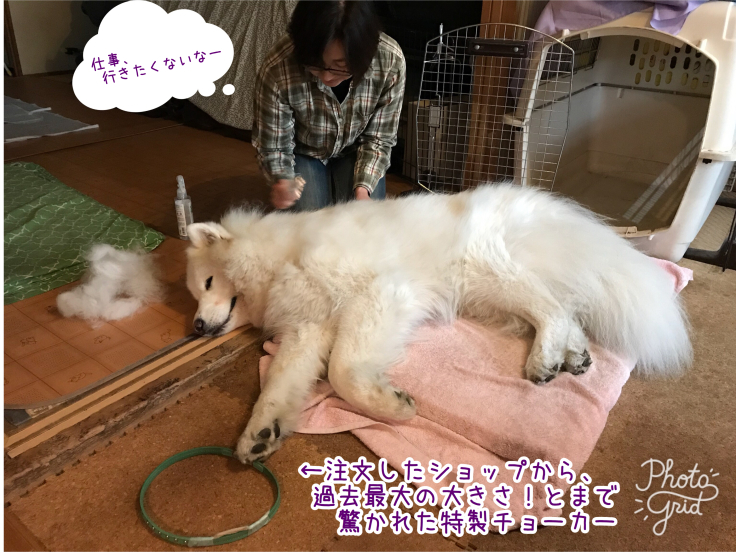 f0234023_08141704.jpeg