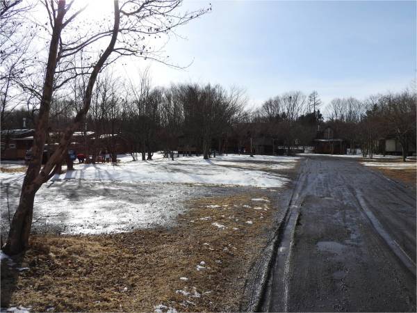 今週末の天気と気温(1月3週目)_b0174425_11510092.jpg