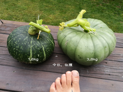 d0042827_18315210.jpg