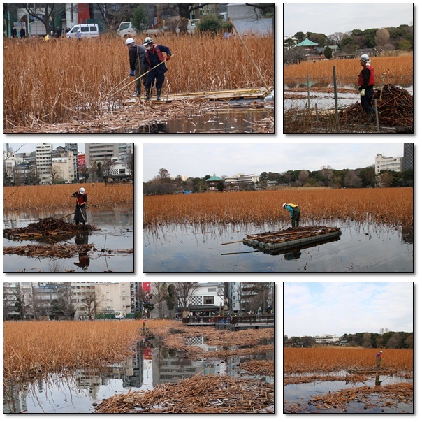 冬の上野公園の周辺をぶらりぶらり～!(^^)!_e0052135_18230048.jpg