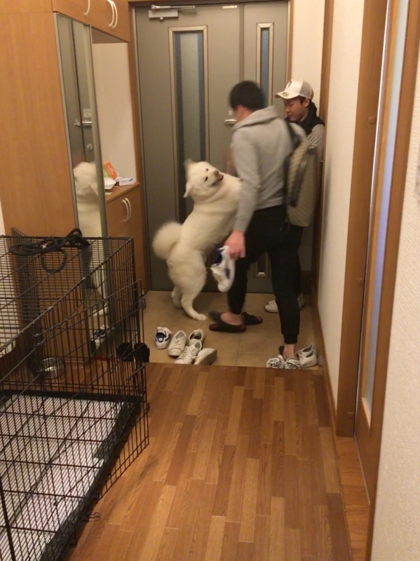 e0364035_01571833.jpeg