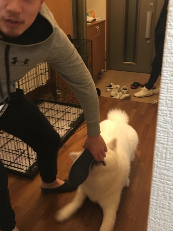e0364035_02062192.jpeg