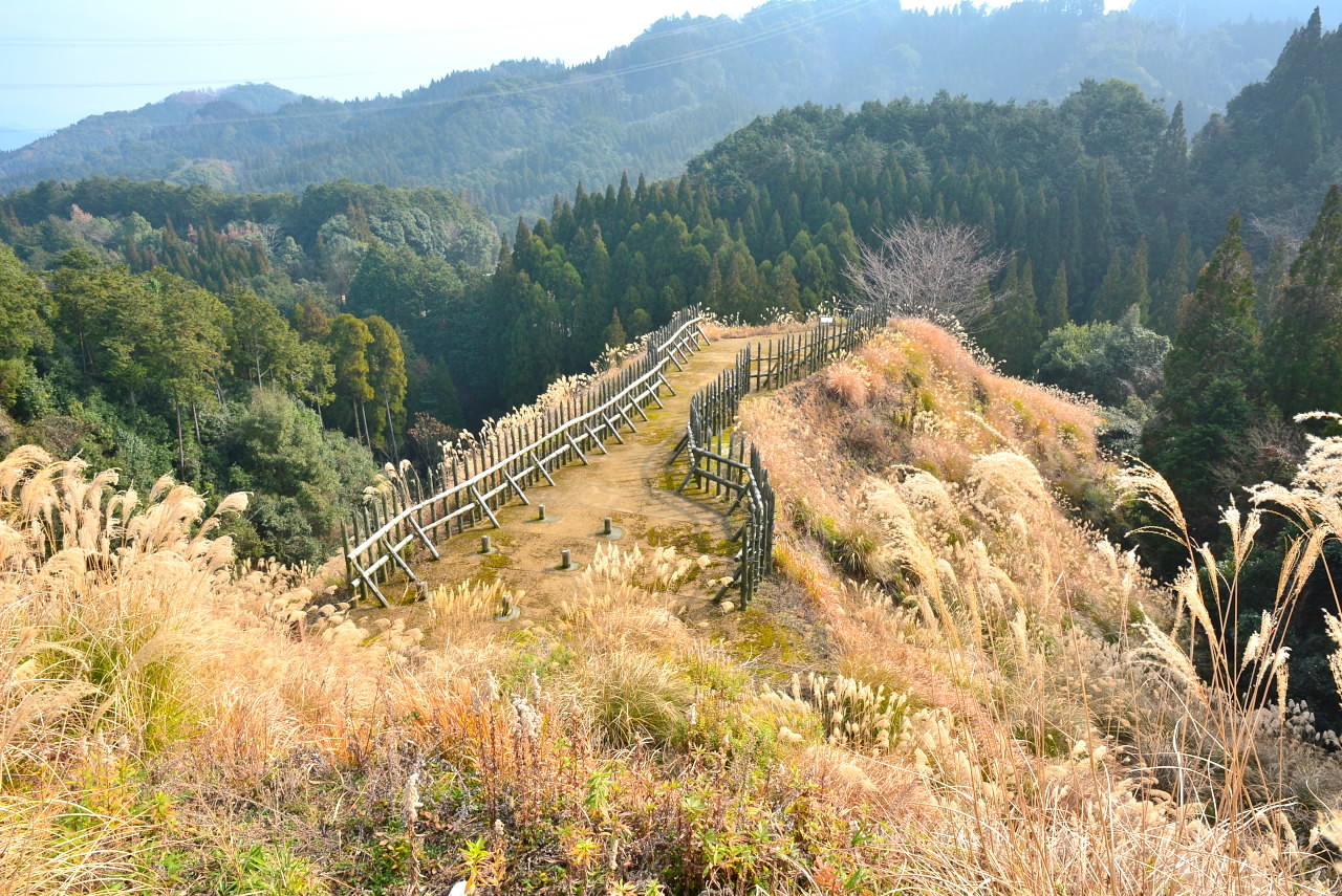 e0056537_21310427.jpg