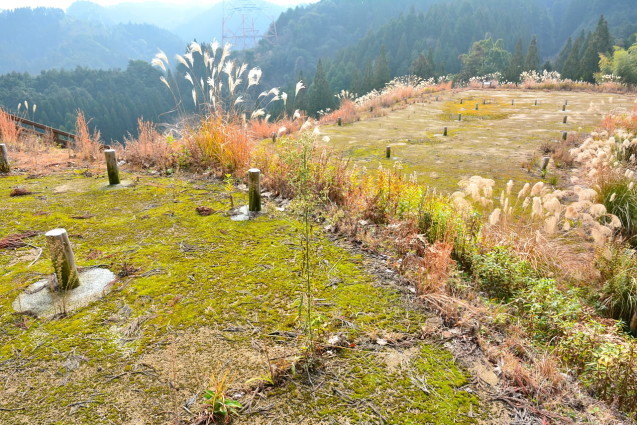 e0056537_21310439.jpg