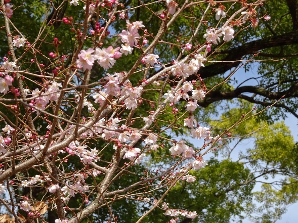 b0299042_22474546.jpg