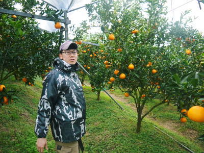 究極の柑橘「せとか」　収穫は2月中旬より！収穫まで1ヶ月前の様子を現地取材(前編)_a0254656_17014293.jpg