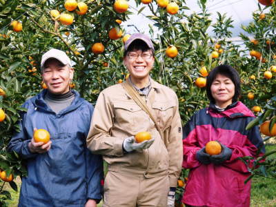 究極の柑橘「せとか」 収穫は2月中旬より!収穫まで1ヶ月前の様子を現地取材(前編)_a0254656_17205824.jpg