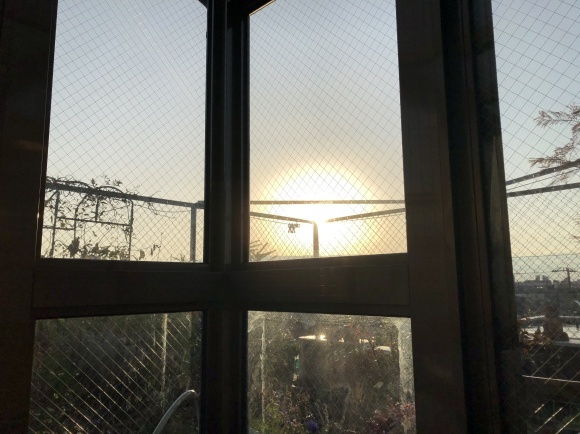 b0181457_08153576.jpeg