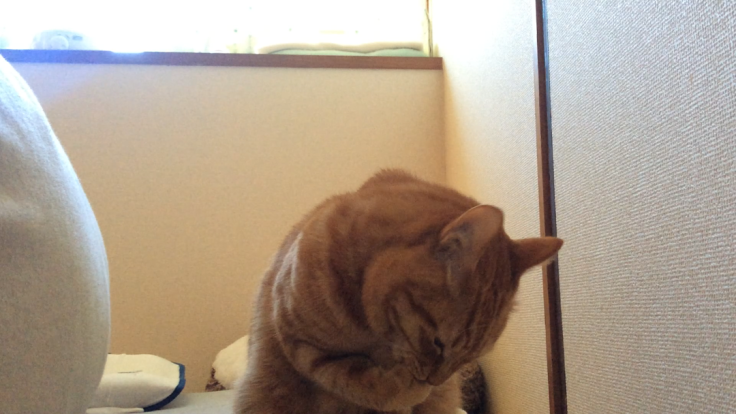 a0022958_08480861.png