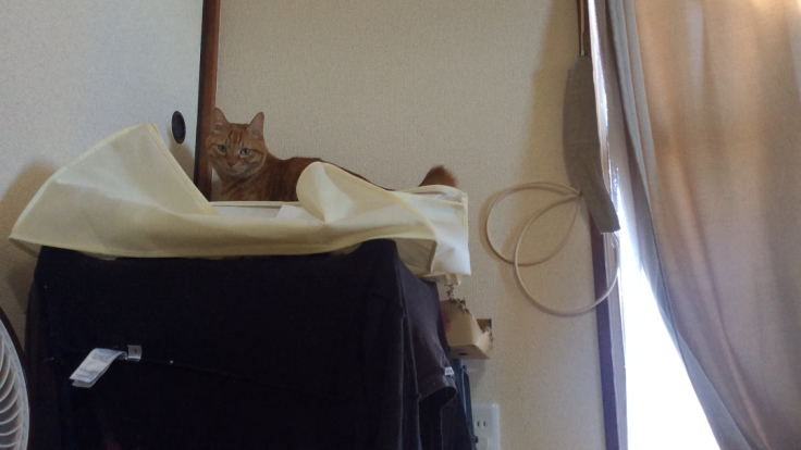 a0022958_08481034.png
