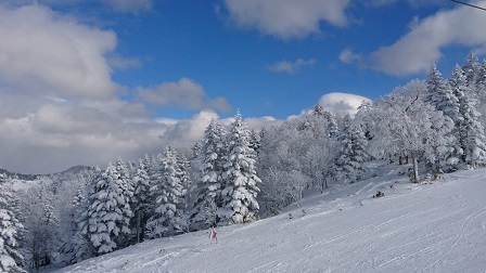 a0208560_17510973.jpg