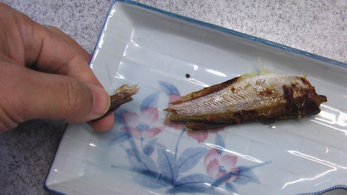 ハタハタの骨 流れの向こうに ハタハタの骨 流れの向こうに