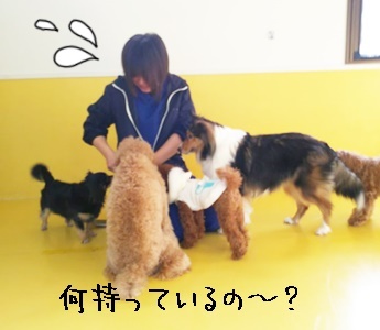 お友達たくさん♪_f0357682_12261838.jpg