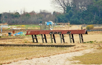e0077899_153221.jpg