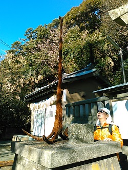 短距離系と長距離系_e0077899_15454855.jpg