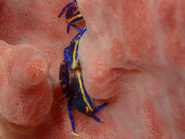 e0115199_14201235.jpg