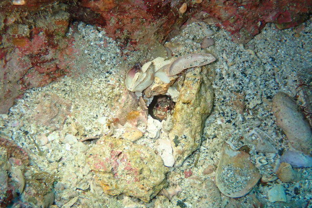 e0115199_14395352.jpg