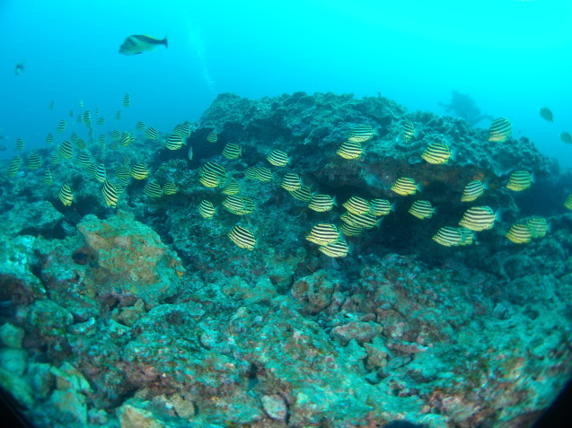 e0115199_14514788.jpg