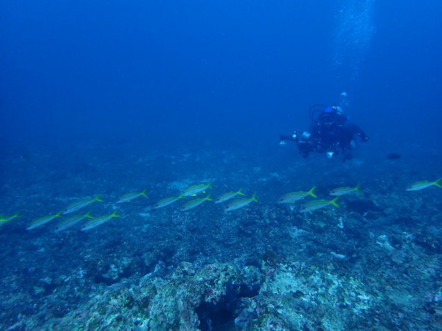 e0115199_14535739.jpg