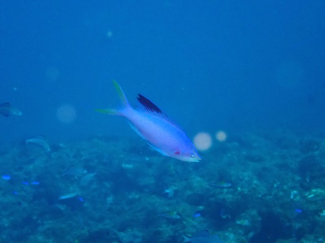 e0115199_14542894.jpg