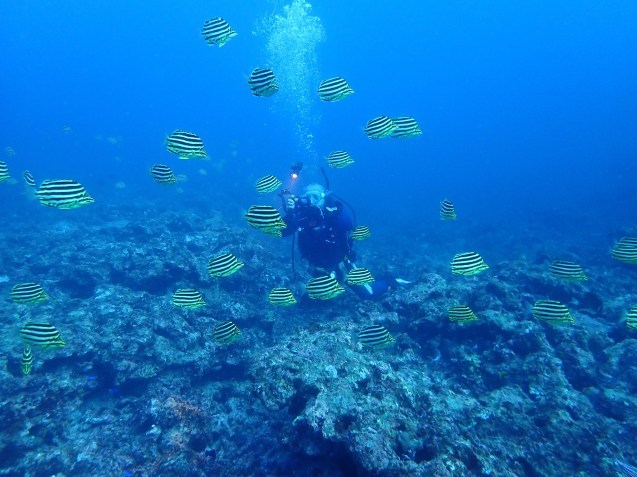 e0115199_14550526.jpg