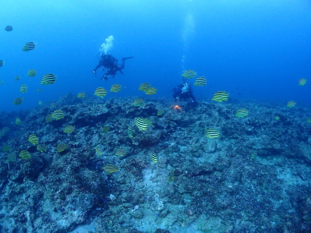 e0115199_14560218.jpg