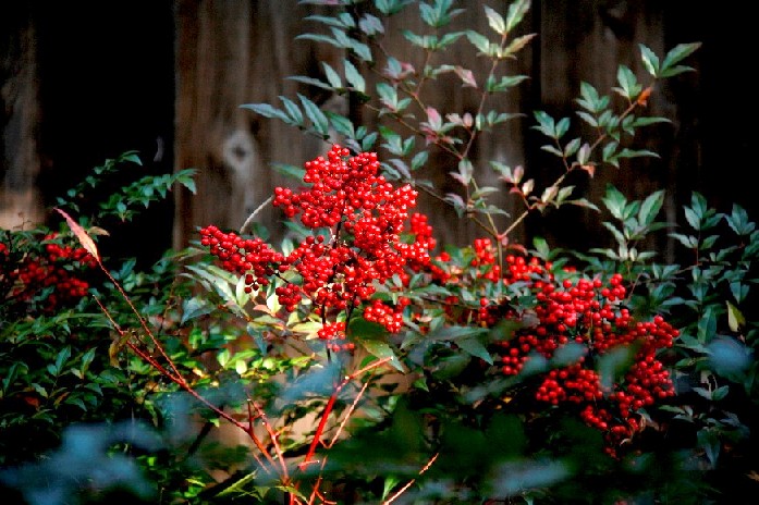 d0140806_15224822.jpg