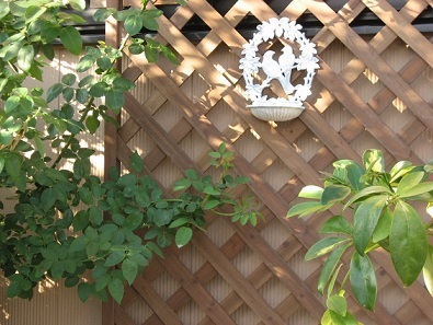 f0325309_11184631.jpg