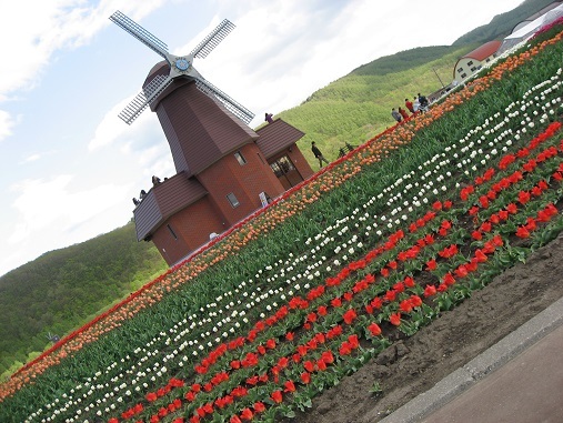 f0325309_11224293.jpg