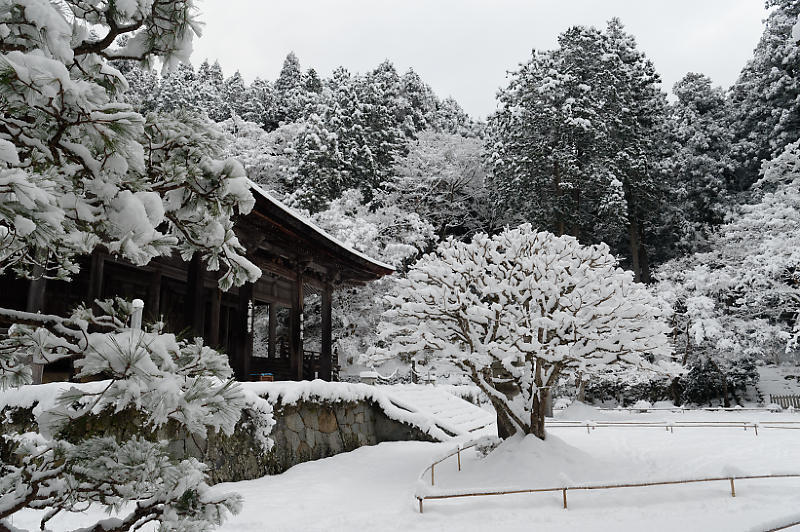 京都の雪景色2018＠大原　其の二_f0032011_21514373.jpg