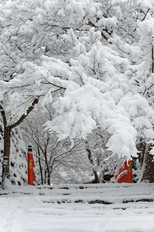 京都の雪景色2018＠大原　其の二_f0032011_21514408.jpg