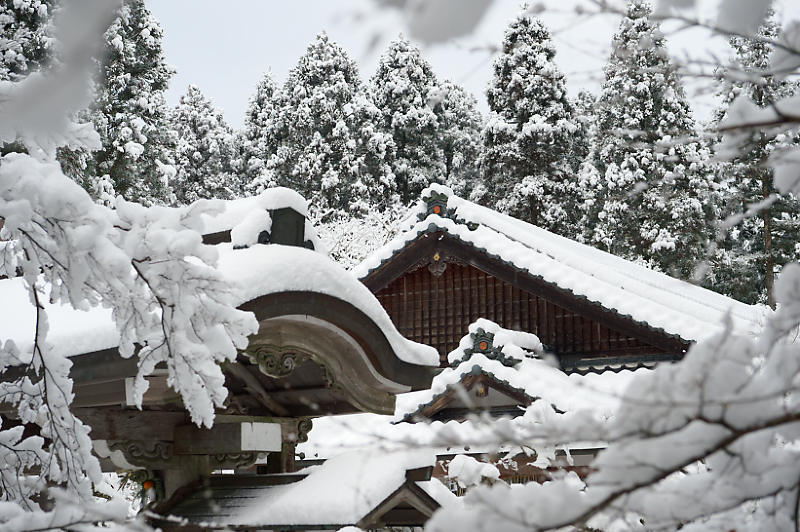 京都の雪景色2018＠大原　其の二_f0032011_21514417.jpg