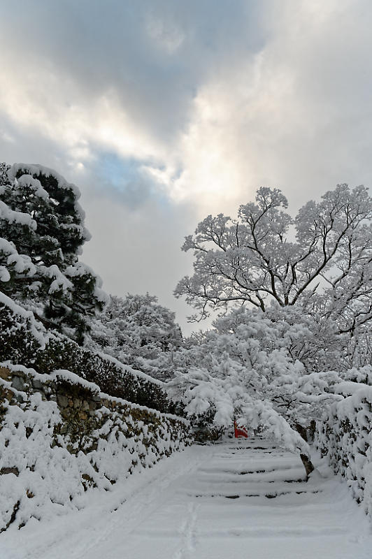 京都の雪景色2018＠大原　其の二_f0032011_21514424.jpg