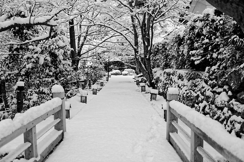 京都の雪景色2018＠大原　宝泉院_f0032011_22435506.jpg