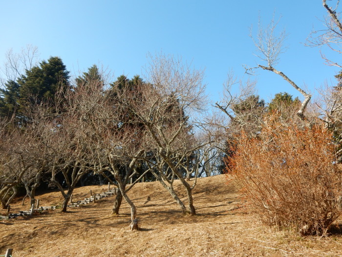 f0182513_00290276.jpg