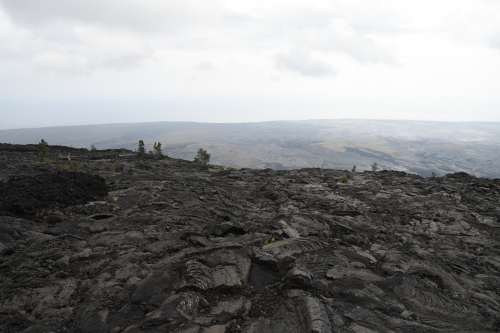 d0332816_00410013.jpg