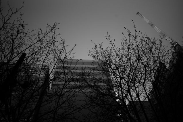 d0339617_17003461.jpg