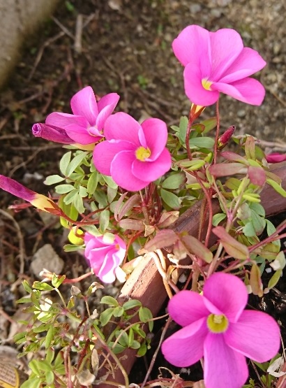 f0228619_19401010.jpg