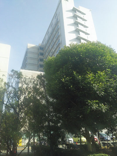 d0338523_23493385.jpg