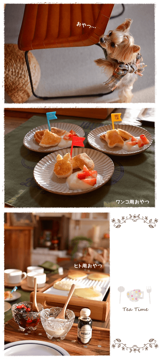 d0179828_23542410.png