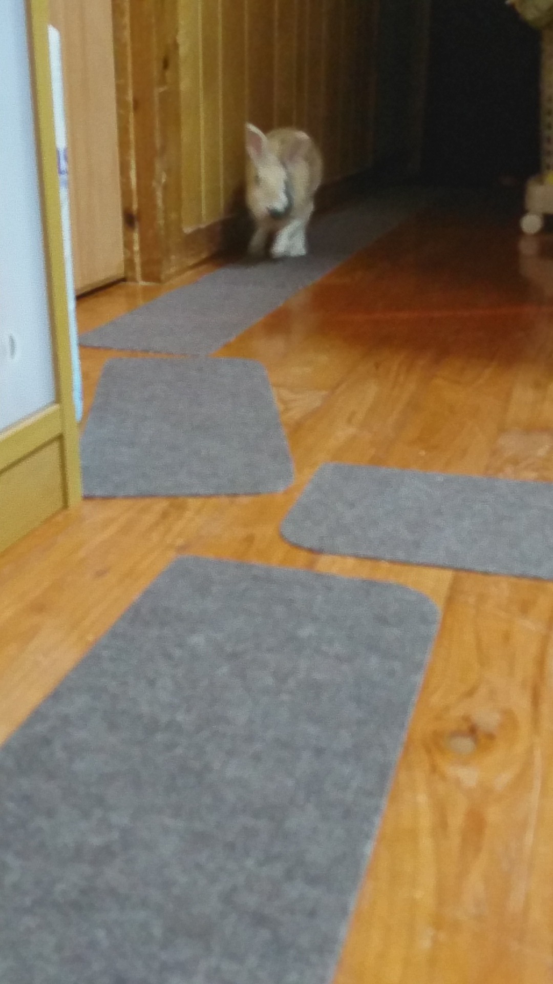 c0365930_17385151.jpg