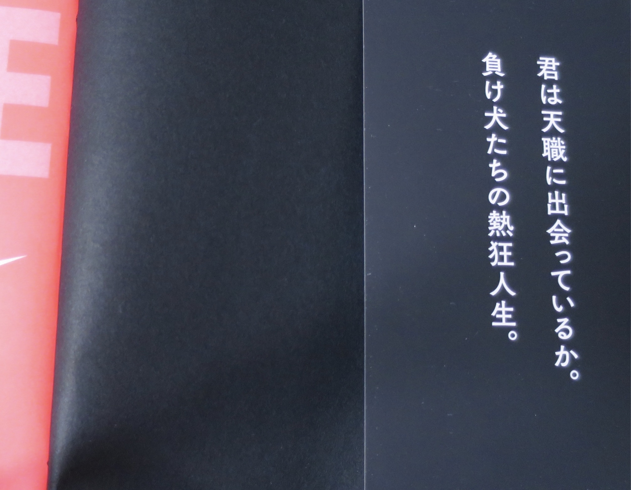 a0005331_10141681.jpeg