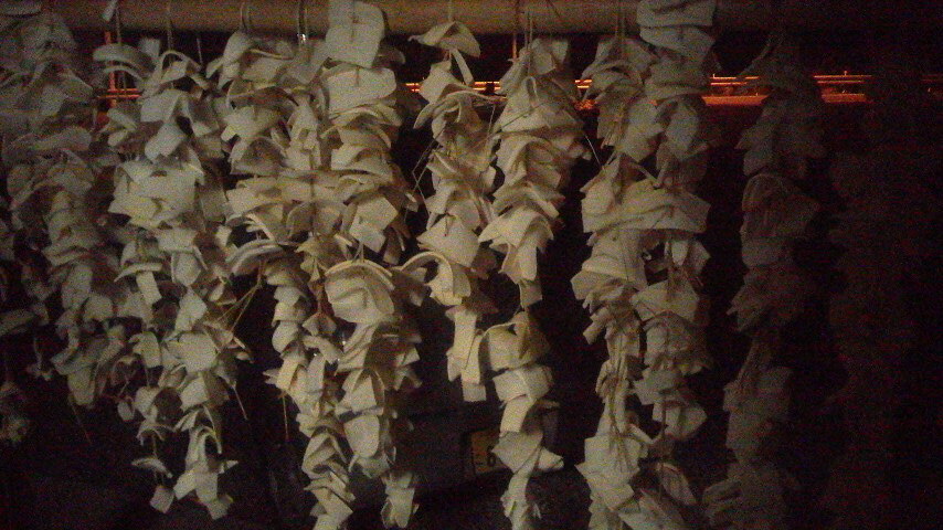 c0089831_215481.jpg